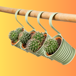 Plantas
